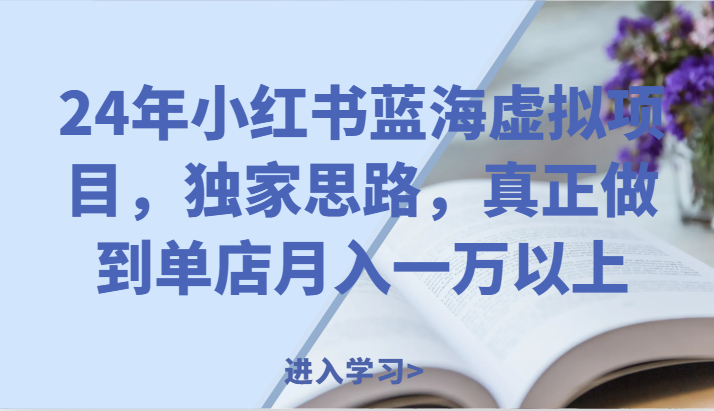 24年小红书蓝海虚拟项目，独家思路，真正做到单店月入一万以上。_菜菜笔记