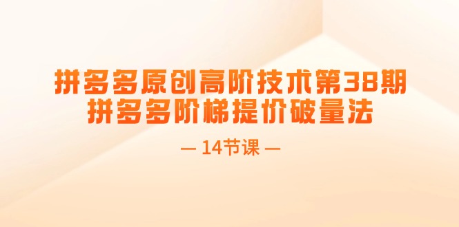 （11704期）拼多多原创高阶技术第38期，拼多多阶梯提价破量法（14节课）_菜菜笔记