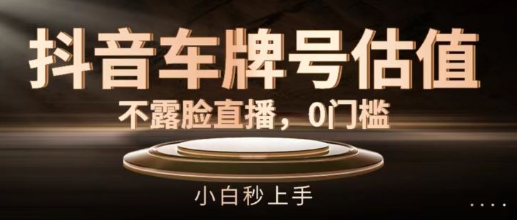 抖音车牌号估值，不露脸直播，0门槛，小白秒上手【揭秘】_菜菜笔记