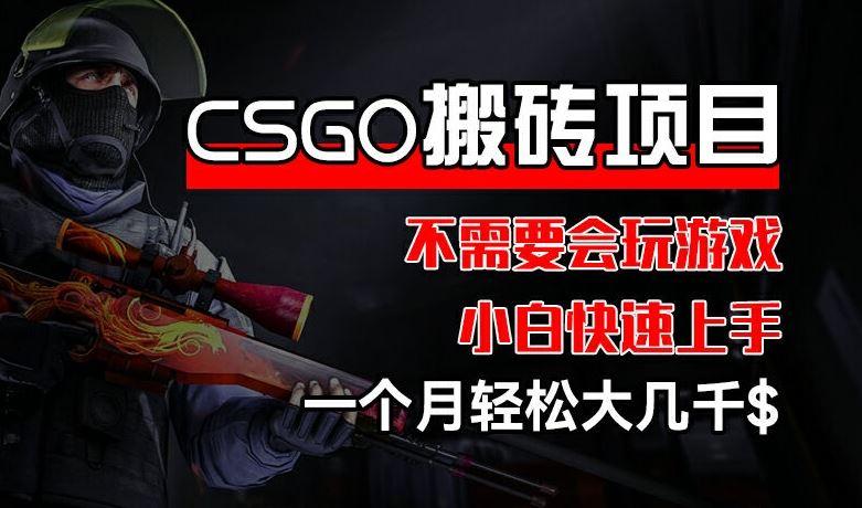 CSGO 装备搬砖项目，操作简单，不需要会玩游戏，小白也能快速上手，一个月轻松大几千【揭秘】_菜菜笔记
