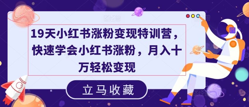 19天小红书涨粉变现特训营，快速学会小红书涨粉，月入十万轻松变现_菜菜笔记