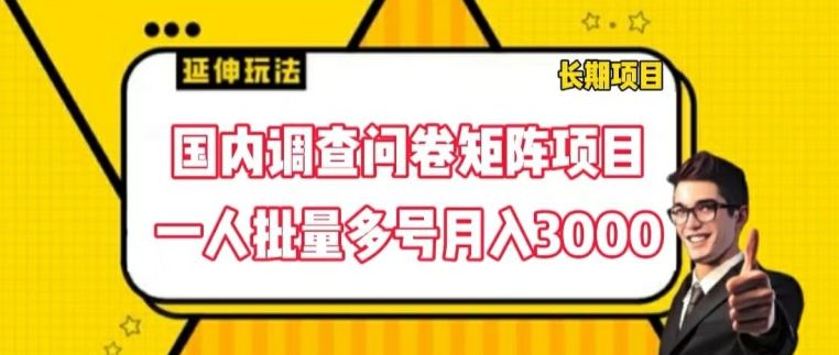 国内调查问卷矩阵项目，一人批量多号月入3000【揭秘】_菜菜笔记