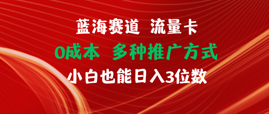 （11768期）蓝海赛道 流量卡 0成本 小白也能日入三位数_菜菜笔记