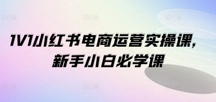 1V1小红书电商运营实操课，新手小白必学课_菜菜笔记