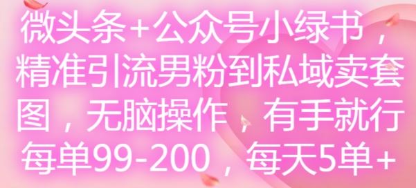 微头条+公众号小绿书，精准引流男粉到私域卖套图，无脑操作，有手就行，每单99-200，每天5单_菜菜笔记