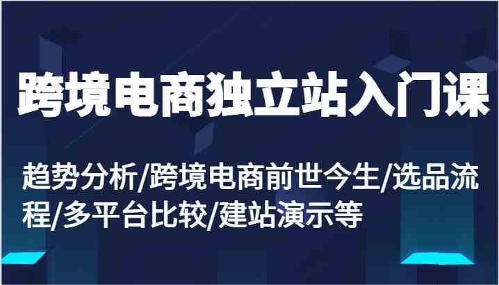跨境电商独立站入门课：趋势分析/跨境电商前世今生/选品流程/多平台比较/建站演示等_菜菜笔记