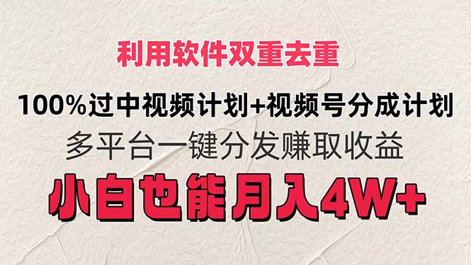 （11862期）利用软件双重去重，100%过中视频+视频号分成计划小白也可以月入4W+_菜菜笔记