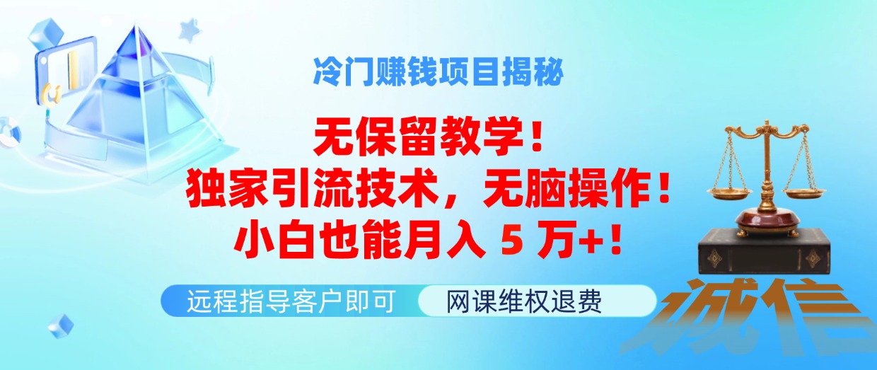 （11864期）冷门赚钱项目无保留教学！独家引流技术，无脑操作！小白也能月入5万+！_菜菜笔记
