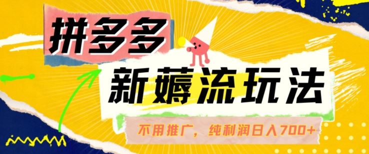 拼多多最新薅流玩法，无需开车推广，纯靠自然流吃饭-单纯赚50+利润，日入700+【揭秘】_菜菜笔记