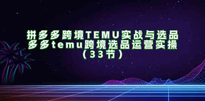 拼多多跨境TEMU实战与选品，多多temu跨境选品运营实操（33节）_菜菜笔记