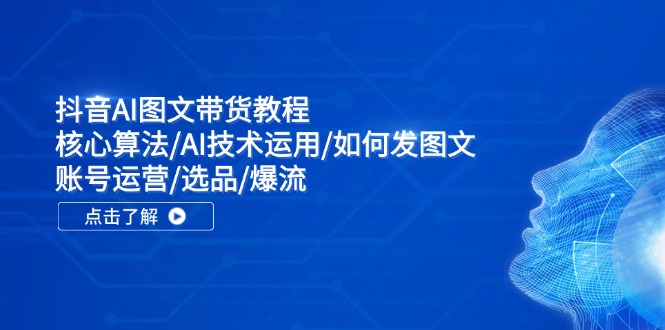 （11958期）抖音AI图文带货教程：核心算法/AI技术运用/如何发图文/账号运营/选品/爆流_菜菜笔记