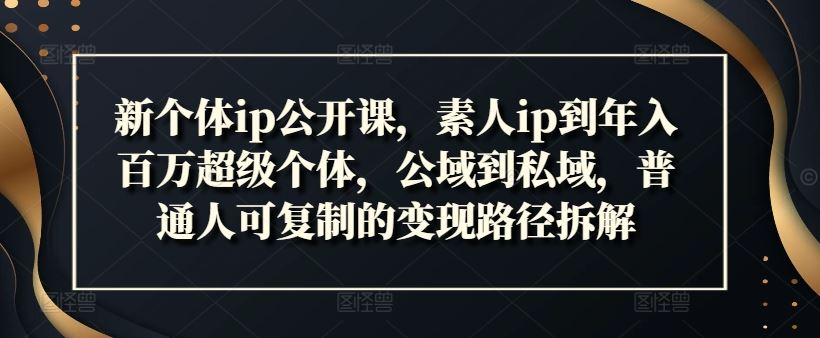 新个体ip公开课，素人ip到年入百万超级个体，公域到私域，普通人可复制的变现路径拆解_菜菜笔记