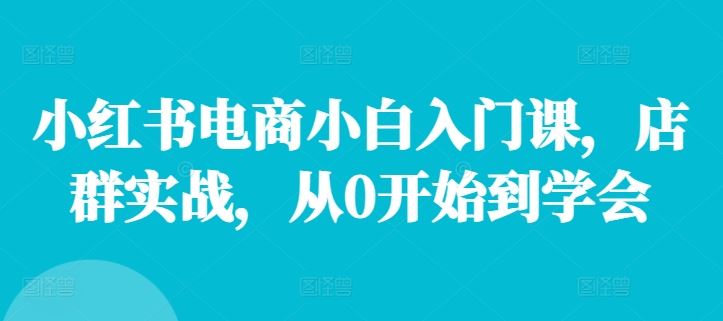 小红书电商小白入门课，店群实战，从0开始到学会_菜菜笔记