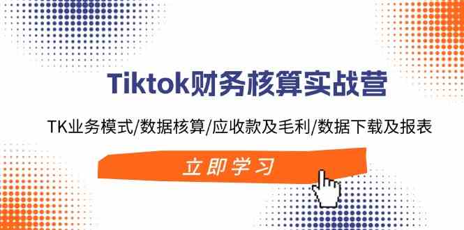 Tiktok财务核算实战营：TK业务模式/数据核算/应收款及毛利/数据下载及报表_菜菜笔记