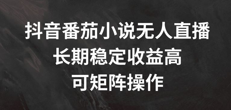 抖音番茄小说无人直播，长期稳定收益高，可矩阵操作【揭秘】_菜菜笔记