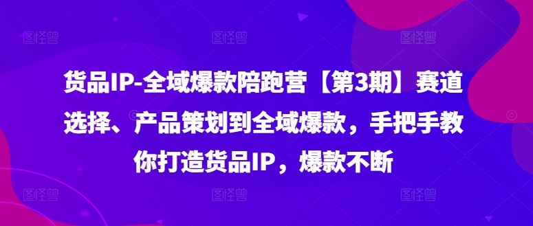 货品IP全域爆款陪跑营【第3期】赛道选择、产品策划到全域爆款，手把手教你打造货品IP，爆款不断_菜菜笔记