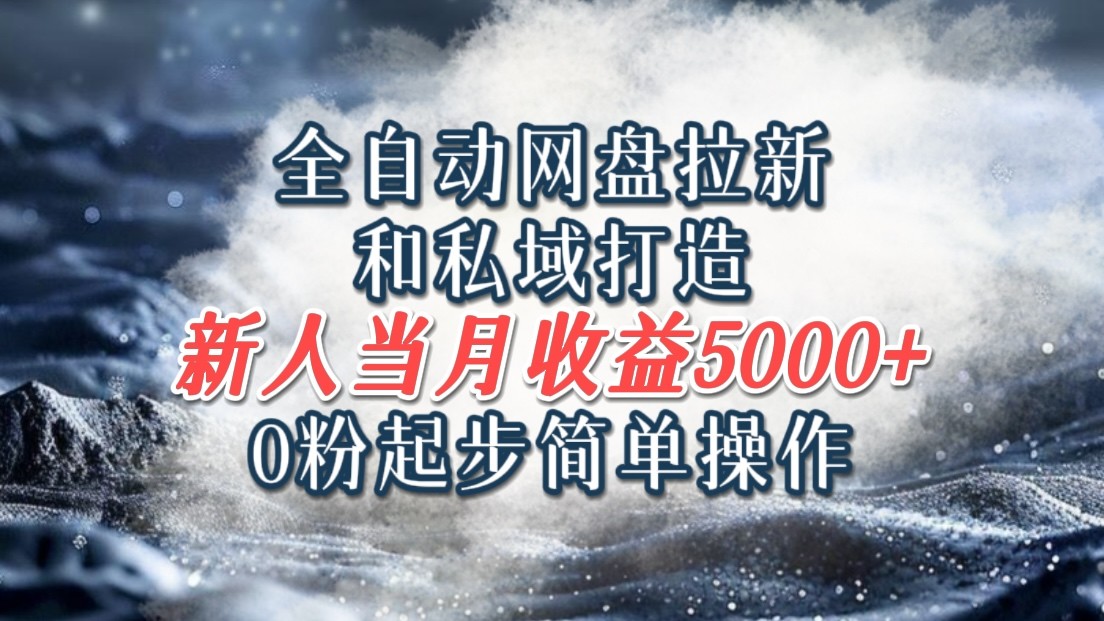 全自动网盘拉新和私域打造，0粉起步简单操作，新人入门当月收益5000以上_菜菜笔记