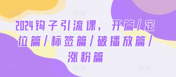 2024钩子引流课，开篇/定位篇/标签篇/破播放篇/涨粉篇_菜菜笔记