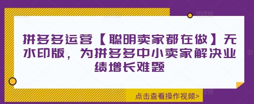 拼多多运营【聪明卖家都在做】无水印版，为拼多多中小卖家解决业绩增长难题_菜菜笔记