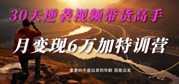 30天逆袭视频带货高手，单月变现6万加特训营-麦子甜_菜菜笔记