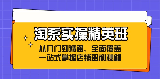 （12276期）淘系实操精英班：从入门到精通，全面覆盖，一站式掌握店铺盈利秘籍_菜菜笔记