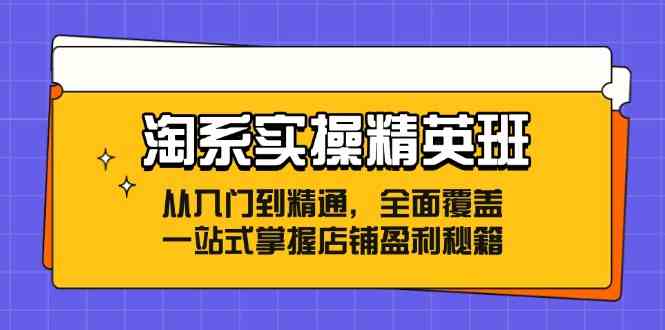 淘系实操精英班：从入门到精通，全面覆盖，一站式掌握店铺盈利秘籍_菜菜笔记