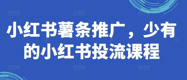 小红书薯条推广，少有的小红书投流课程_菜菜笔记