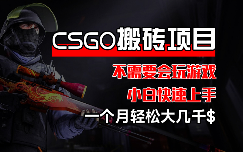 （12332期）CSGO 装备搬砖项目，操作简单，不需要会玩游戏，小白也能快速上手，一…_菜菜笔记