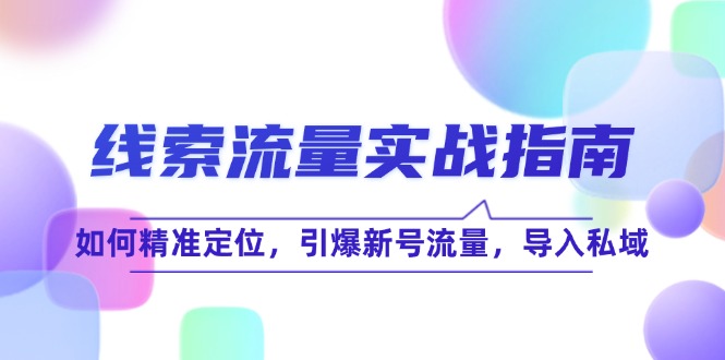 （12382期）线 索 流 量-实战指南：如何精准定位，引爆新号流量，导入私域_菜菜笔记