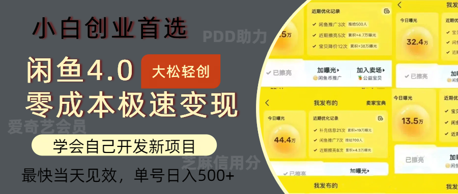（12434期）闲鱼0成本极速变现项目，多种变现方式 单号日入500+最新玩法_菜菜笔记