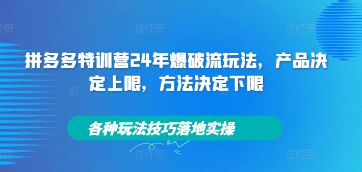 拼多多特训营24年爆破流玩法，产品决定上限，方法决定下限，各种玩法技巧落地实操_菜菜笔记