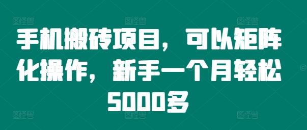 手机搬砖项目，可以矩阵化操作，新手一个月轻松5000多_菜菜笔记