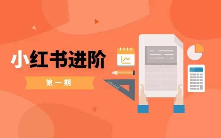 小红书进阶篇，零基础小白实战课，普通人变现的课程_菜菜笔记