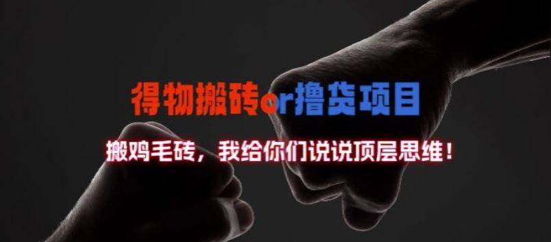 得物搬砖撸货项目?掰下数据，我给你们说说顶层思维【揭秘】_菜菜笔记