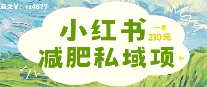 小红书减肥粉，私域变现项目，一单就达210元，小白也能轻松上手【揭秘】_菜菜笔记