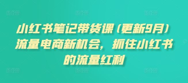 小红书笔记带货课(更新9月)流量电商新机会，抓住小红书的流量红利_菜菜笔记