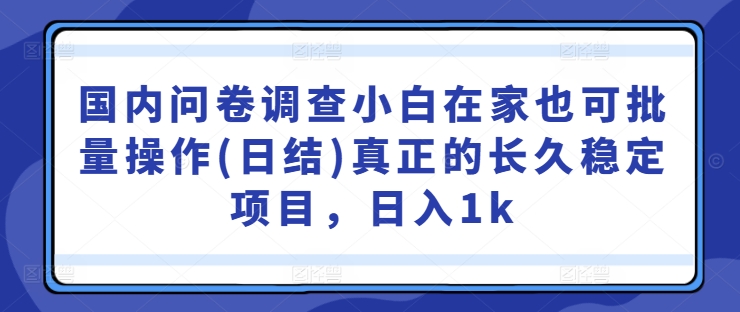 国内问卷调查小白在家也可批量操作(日结)真正的长久稳定项目，日入1k【揭秘】_菜菜笔记