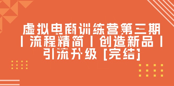 （10960期）虚拟电商训练营第三期丨流程精简丨创造新品丨引流升级 [完结]_菜菜笔记
