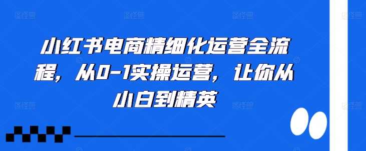 小红书电商精细化运营全流程，从0-1实操运营，让你从小白到精英_菜菜笔记