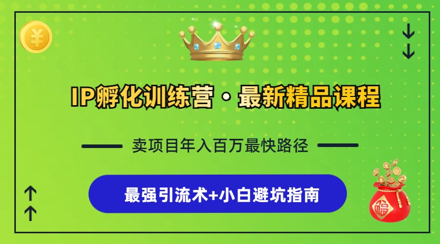 （13055期）IP孵化训练营，知识付费全流程+最强引流术+小白避坑指南_菜菜笔记