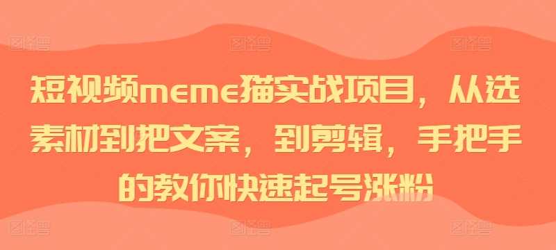 短视频meme猫实战项目，从选素材到把文案，到剪辑，手把手的教你快速起号涨粉_菜菜笔记