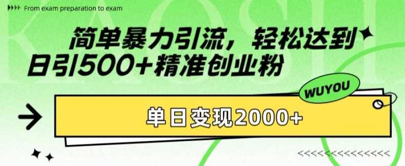 简单暴力引流，轻松达到日引500+精准创业粉，单日变现2k【揭秘】_菜菜笔记