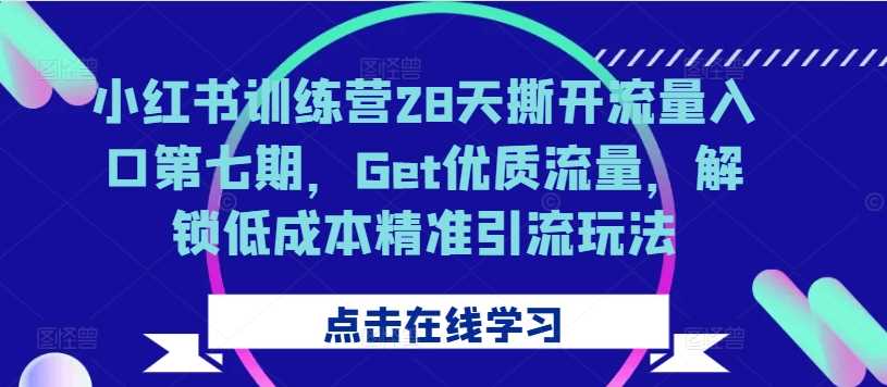 小红书训练营28天撕开流量入口第七期，Get优质流量，解锁低成本精准引流玩法_菜菜笔记