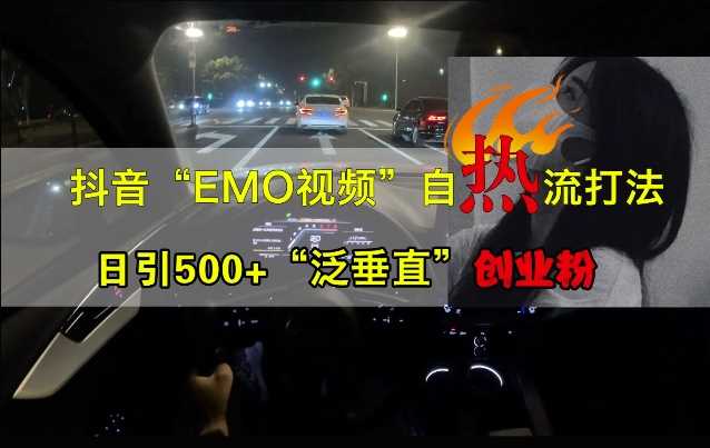 抖音EMO视频自热打法，日引500+“泛垂直”创业粉_菜菜笔记