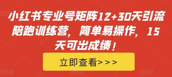 小红书专业号矩阵12+30天引流陪跑训练营，简单易操作，15天可出成绩!_菜菜笔记