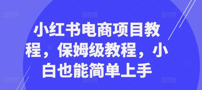 小红书电商项目教程，保姆级教程，小白也能简单上手_菜菜笔记