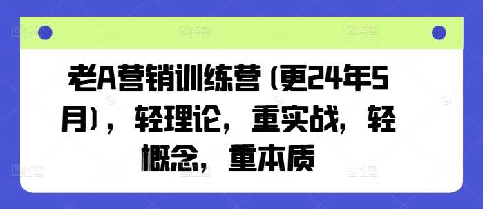 老A营销训练营(更24年10月)，轻理论，重实战，轻概念，重本质_菜菜笔记