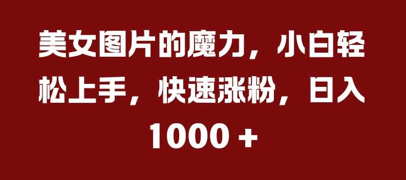 美女图片的魔力，小白轻松上手，快速涨粉，日入几张【揭秘】_菜菜笔记