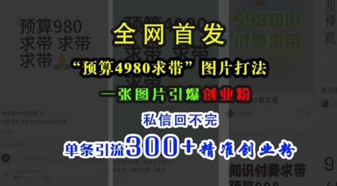 小红书“预算4980带我飞”图片打法，一张图片引爆创业粉，私信回不完，单条引流300+精准创业粉_菜菜笔记