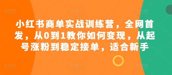 小红书商单实战训练营，全网首发，从0到1教你如何变现，从起号涨粉到稳定接单，适合新手_菜菜笔记